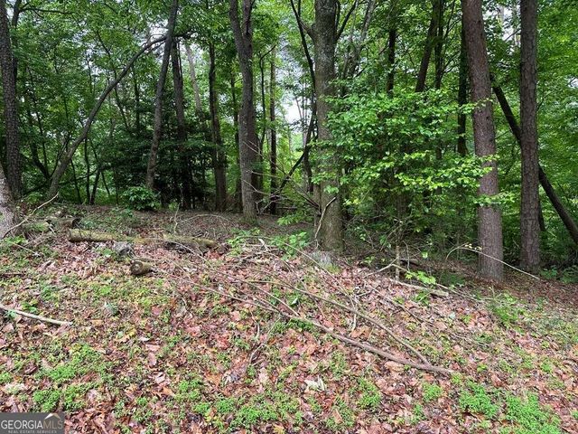 LOT 40 Timberwalk Drive 40, Ellijay, GA 30540