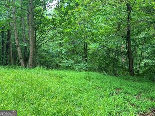 LOT 40 Timberwalk Drive 40, Ellijay, GA 30540