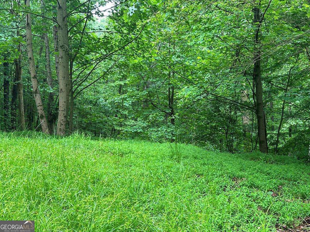 LOT 40 Timberwalk Drive 40, Ellijay, GA 30540