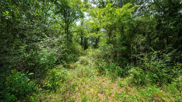 000 Fm 1488, Magnolia, TX 77355