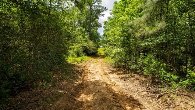 000 Fm 1488, Magnolia, TX 77355