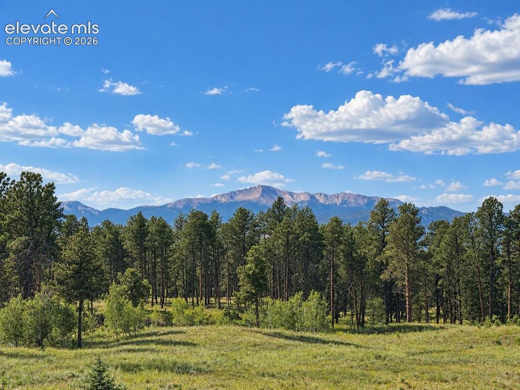 5705 Vessey Road, Colorado Springs, CO 80908 — photo 3