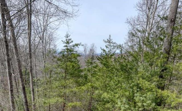 76 Channing Hollow, Morganton, GA 30560