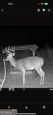 1176 E Highway 57, Twin City, GA 30471