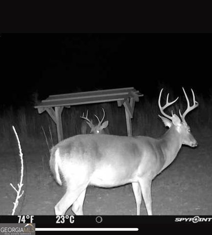 1176 E Highway 57, Twin City, GA 30471