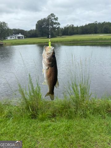 1176 E Highway 57, Twin City, GA 30471