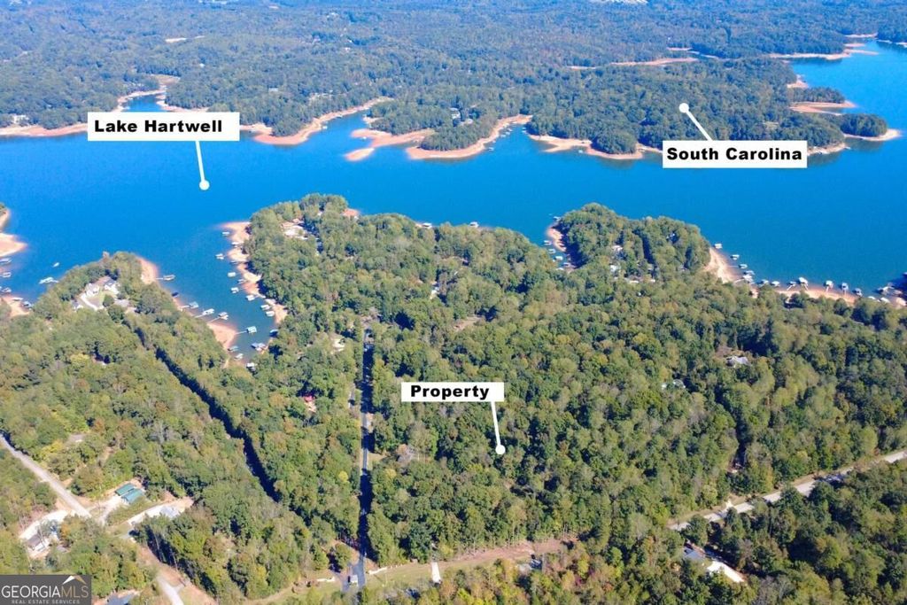 1133 Tugaloo State Park Road, Lavonia, GA 30553 — photo 5