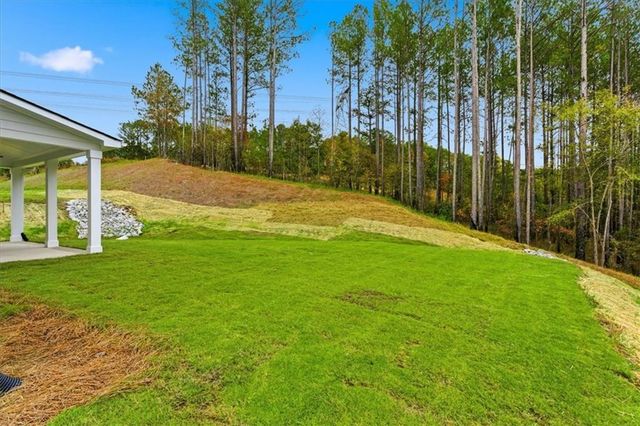 90 Riverwalk Manor Drive, Dallas, GA 30132