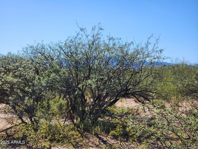 lot s Calle Molinar 350-350 -- -, Sierra Vista, AZ 85650
