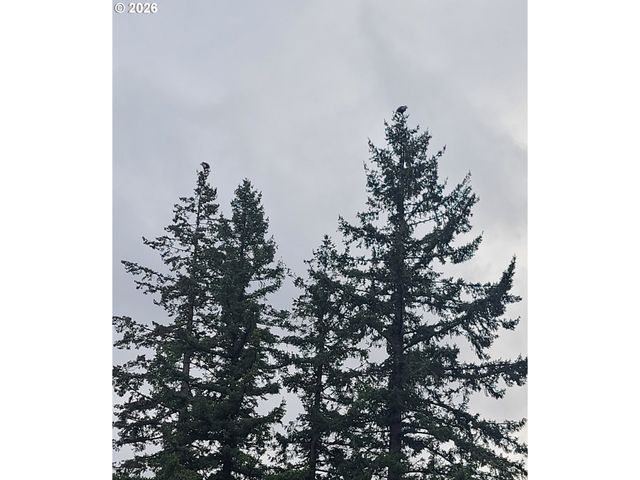 830 Se DARROW Rd, Estacada, OR 97023