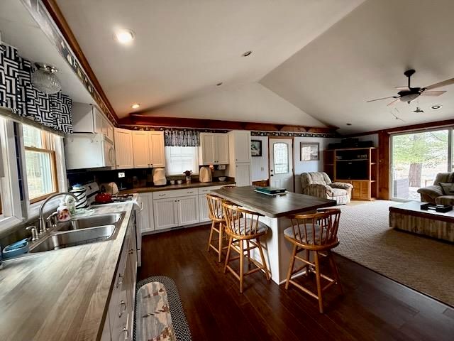 4527 River Lane Street, Alger, MI 48610