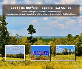 Lot 38 BR Buffalo Ridge Rd, Pace, FL 32571