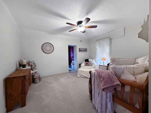 110 W Mason Street, Lena, IL 61048