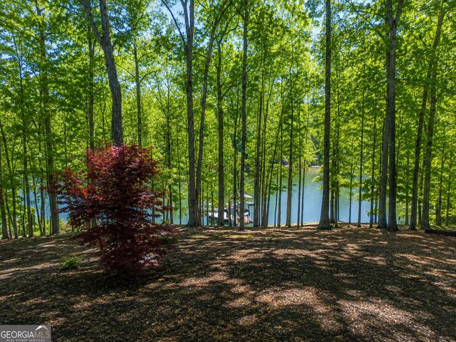201 Hickory Hill Lane, Martin, GA 30557