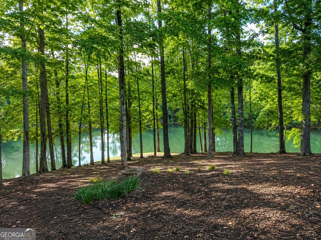 201 Hickory Hill Lane, Martin, GA 30557