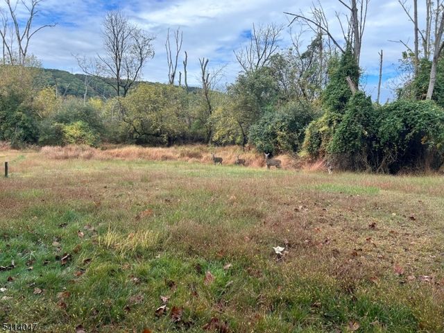 6 Firethorn Dr, Holland Twp., NJ 08848