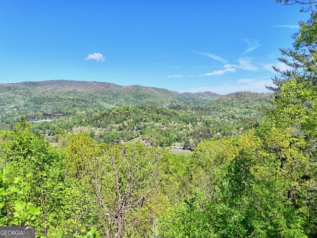 747 Screamer Drive, Clayton, GA 30525