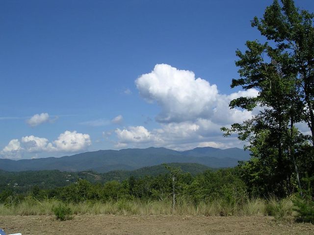 247 Rice Lane, Marble, NC 28905