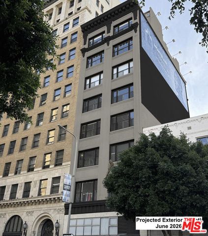 814 S Spring Street 8, Los Angeles, CA 90014