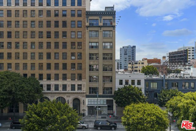 814 S Spring Street 8, Los Angeles, CA 90014
