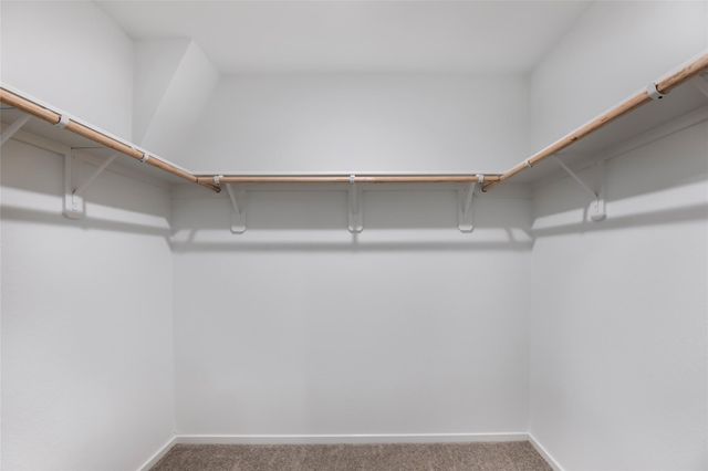 736 Zuppino Lane, Huffman, TX 77336