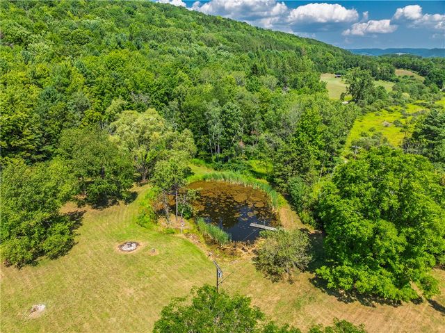 9929 Lake Hollow Road, Cohocton, NY 14826