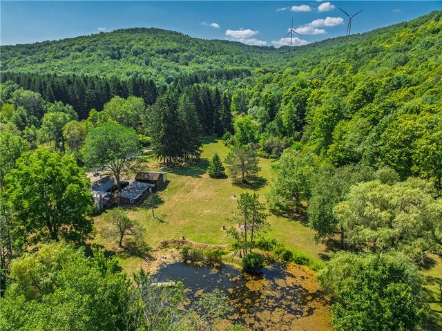 9929 Lake Hollow Road, Cohocton, NY 14826