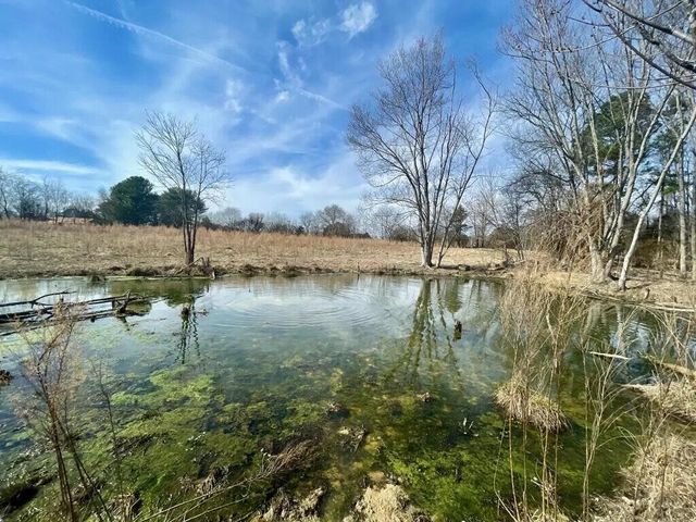 266 Carolina Avenue, Delano, TN 37325