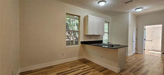 709 S HIGHLAND STREET, Mount Dora, FL 32757