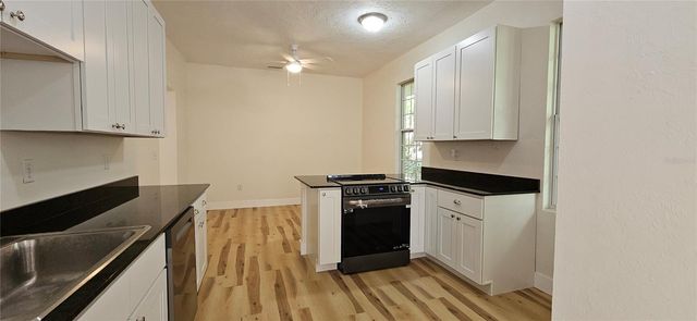709 S HIGHLAND STREET, Mount Dora, FL 32757