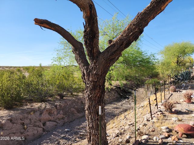 3540 N CHAPPAREL Drive, Florence, AZ 85132