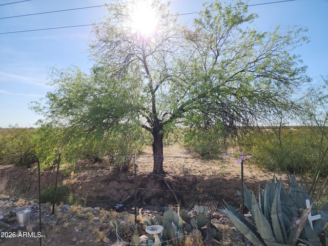 3540 N CHAPPAREL Drive, Florence, AZ 85132