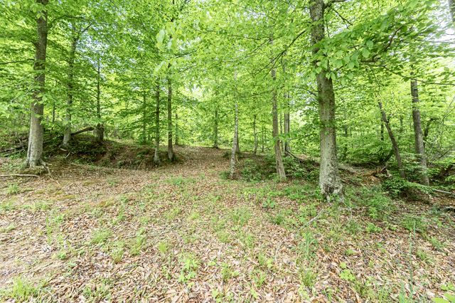 2865 Highway 149, Palmyra, TN 37142