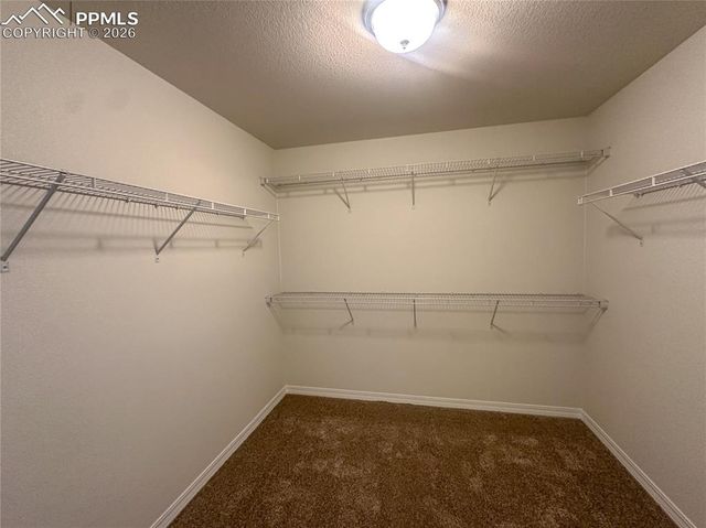 8275 Henzlee Place, Falcon, CO 80831