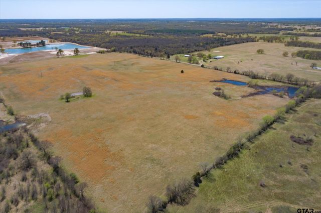 Tract 1 CR 1604, Grand Saline, TX 75140