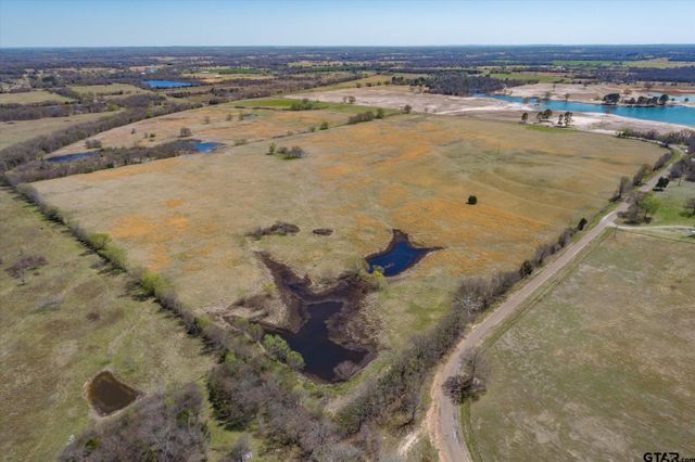 Tract 1 CR 1604, Grand Saline, TX 75140