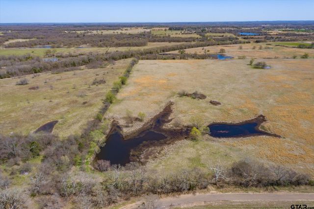Tract 1 CR 1604, Grand Saline, TX 75140