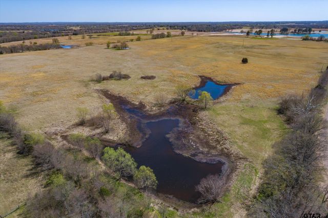 Tract 1 CR 1604, Grand Saline, TX 75140