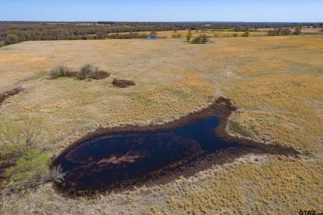 Tract 1 CR 1604, Grand Saline, TX 75140