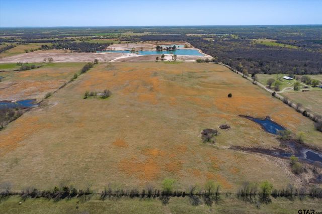 Tract 1 CR 1604, Grand Saline, TX 75140