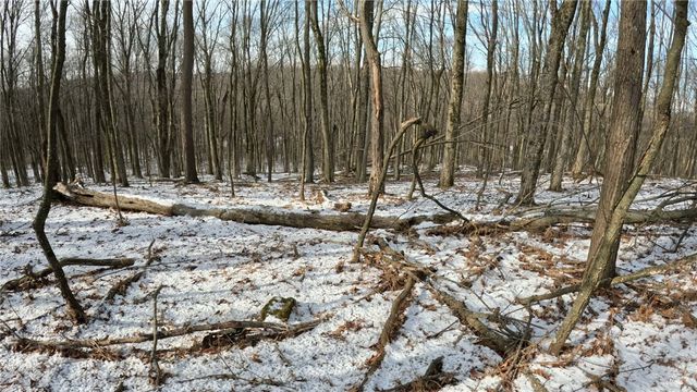 000 N Of Lonesome Hollow Ln, Buffalo Twp, PA 16055