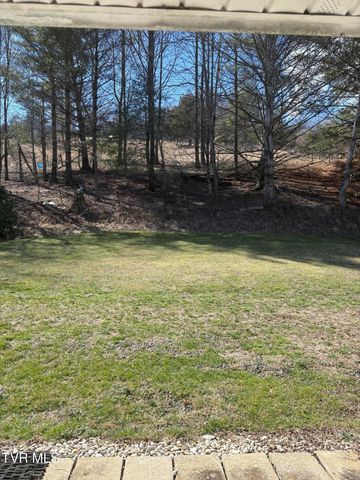 1820 Pine Orchard Road, Butler, TN 37640
