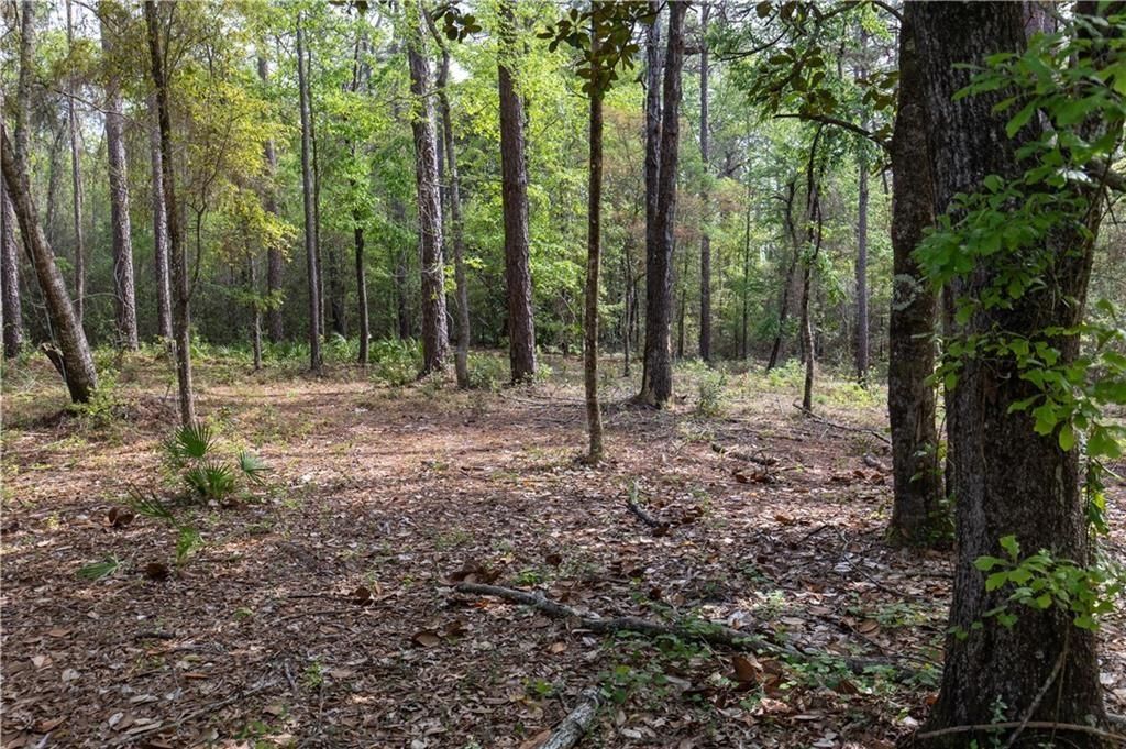 0 Cedar Trace, Theodore, AL 36582 — photo 3