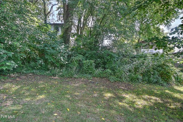 1383 Farragut Avenue, Kingsport, TN 37664