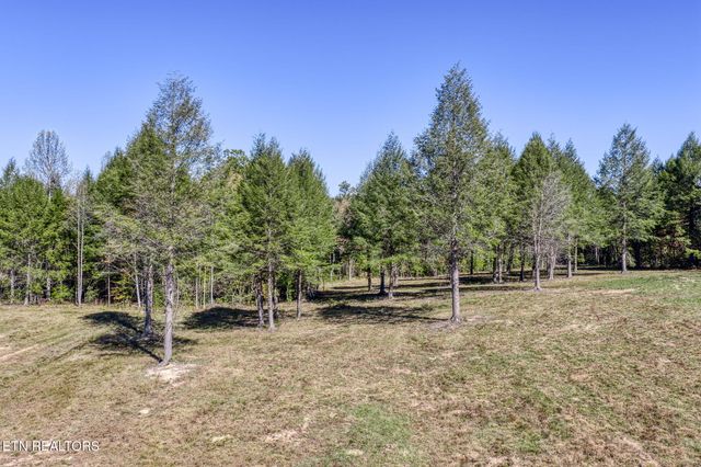 4832 Lovejoy Rd, Crawford, TN 38554