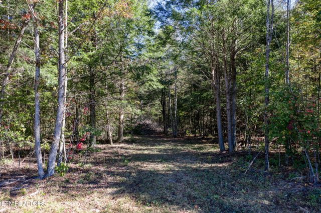 4832 Lovejoy Rd, Crawford, TN 38554