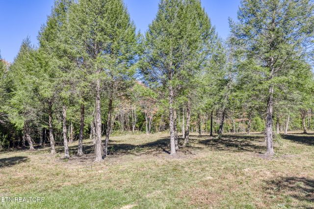 4832 Lovejoy Rd, Crawford, TN 38554