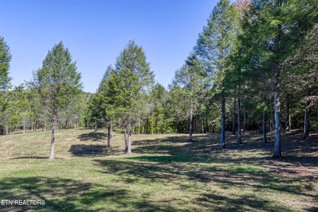 4832 Lovejoy Rd, Crawford, TN 38554