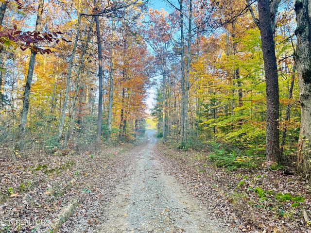 4832 Lovejoy Rd, Crawford, TN 38554