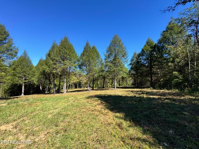 4832 Lovejoy Rd, Crawford, TN 38554